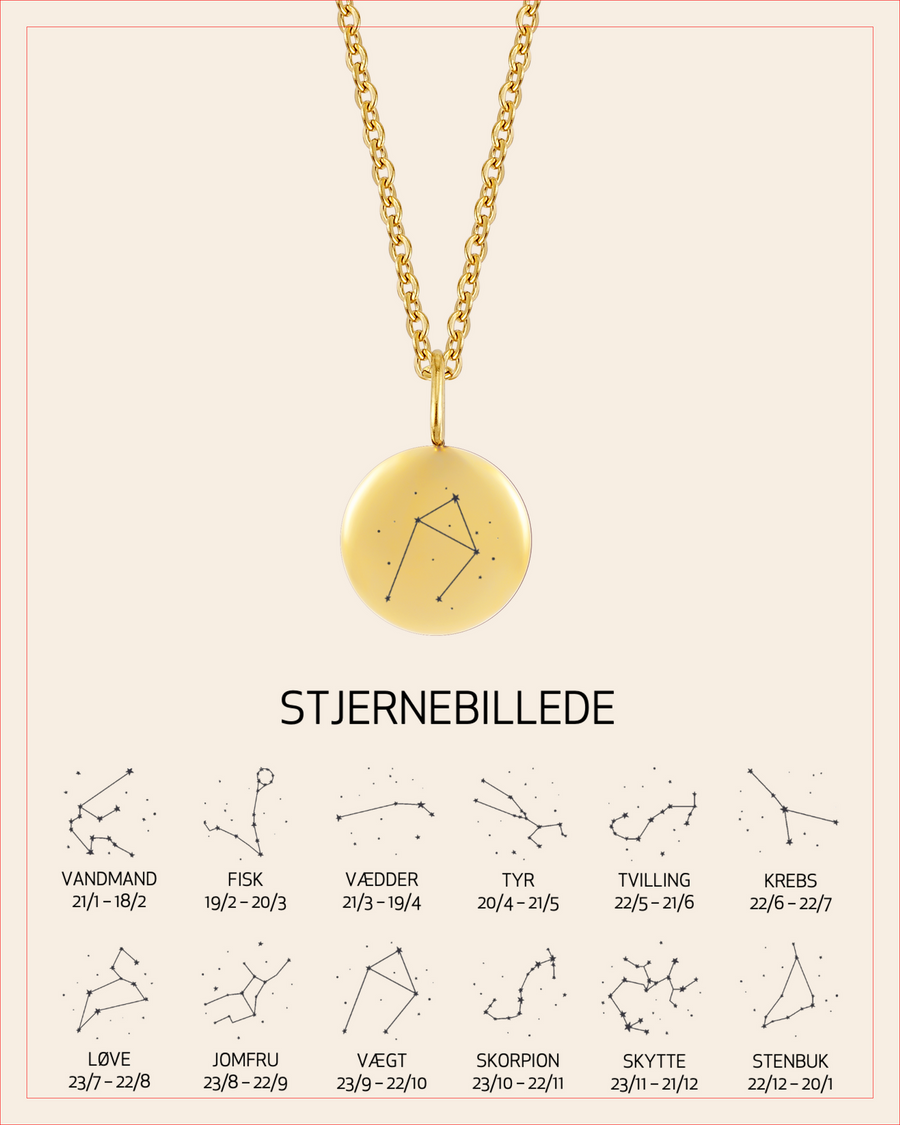 AYA STAR halsband i guldpläterat stål med stjärnbilden Vågen graverad, med översikt över alla 12 stjärnbilder