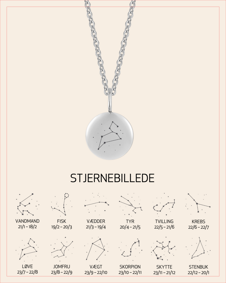 AYA STAR halsband i silverfärgat rostfritt stål med stjärnbilden Lejonet graverad, med översikt över alla 12 stjärnbilder