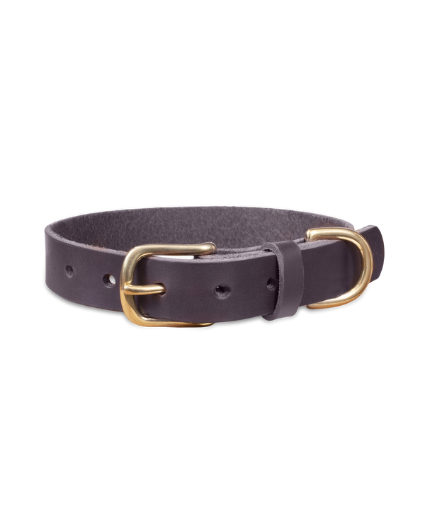 PAW25 hundhalsband från byRavn i mörkbrunt kärnläder med mässingsspänne och D-ring, 25 mm brett